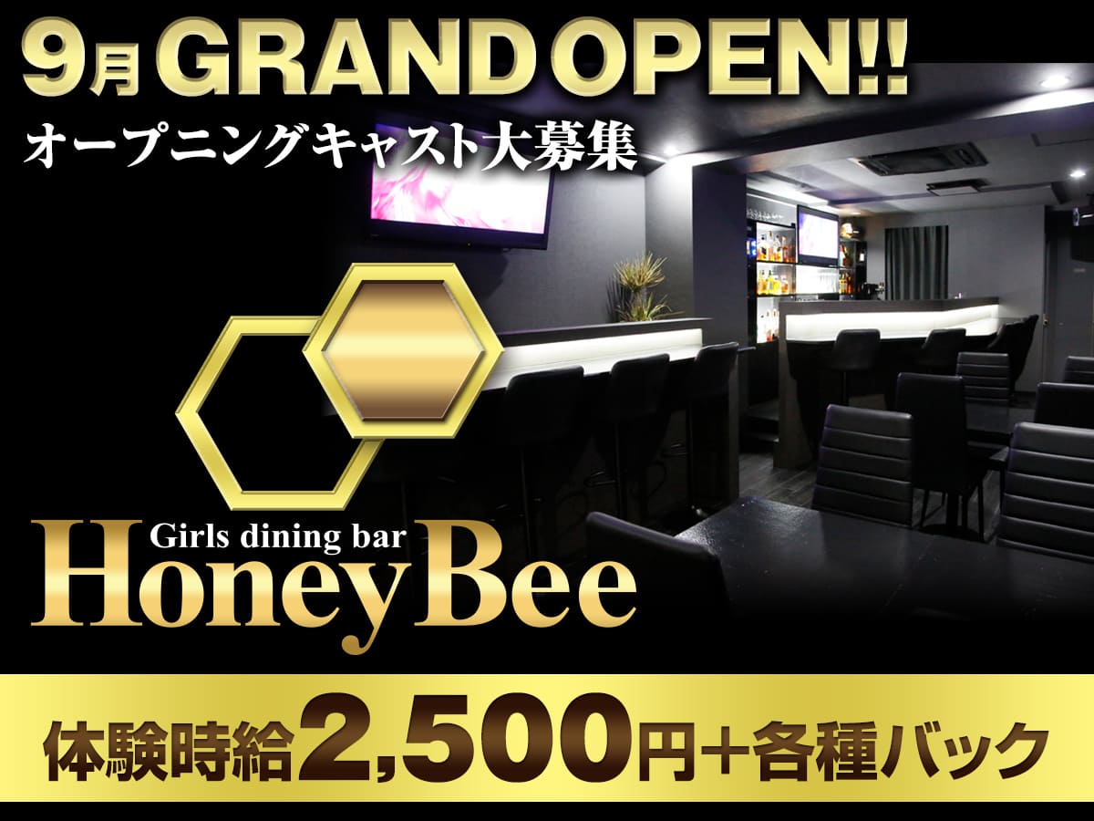 富士ガールズバーgirls Dining Bar Honey Bee ガールズダイニングバー ハニービー のバイト アルバイト求人情報 キャバサイトジョブ 静岡キャバクラ高収入アルバイト バイト求人満載