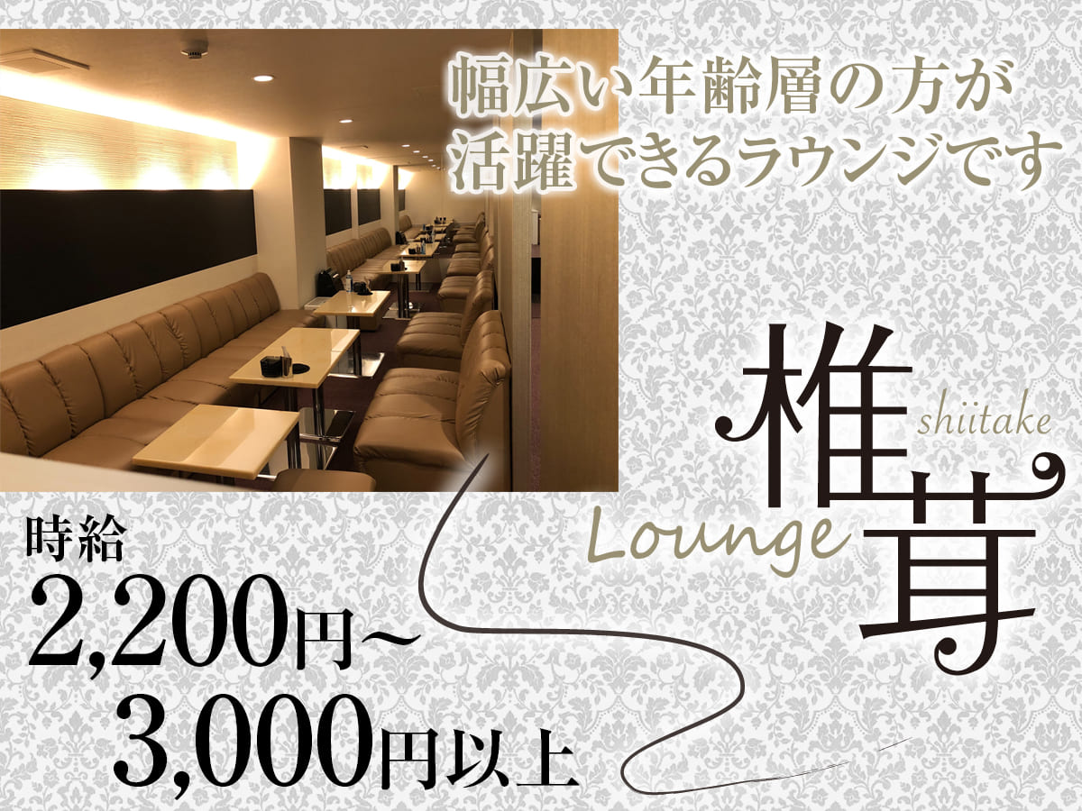 静岡キャバクラ|Lounge 椎茸の求人